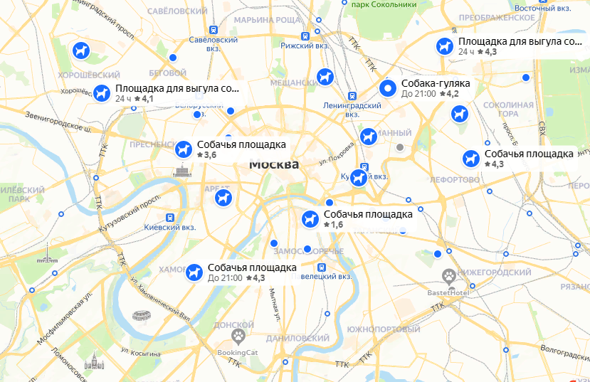 На фото — площадки для собак в столице